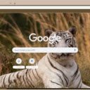 Ho Trang  screen for extension Chrome web store in OffiDocs Chromium