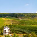House and grape farm  screen for extension Chrome web store in OffiDocs Chromium