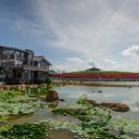 House and lotus pond  screen for extension Chrome web store in OffiDocs Chromium