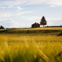 House in the field  screen for extension Chrome web store in OffiDocs Chromium