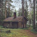 House in the woods (Sielena theme)  screen for extension Chrome web store in OffiDocs Chromium
