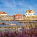 Houses on the rocky beach  screen for extension Chrome web store in OffiDocs Chromium