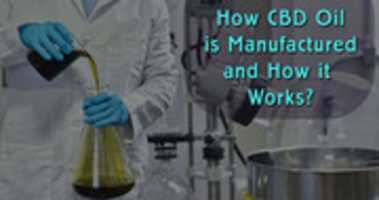 Free download How CBD Oil Is Manufactured And How It Works free photo or picture to be edited with GIMP online image editor