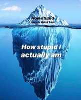Free download How stupid I am [ Meme ] free photo or picture to be edited with GIMP online image editor