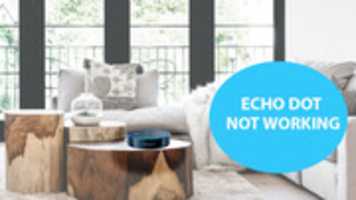 Free download How to fix Echo dot not working issues? free photo or picture to be edited with GIMP online image editor