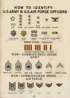 Free download How to identify U.S. Army warrant officer rank marks, 1950 free photo or picture to be edited with GIMP online image editor