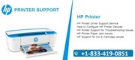 Free download HP Printer Service +1-833-419-0851 Number | HP Customer Support free photo or picture to be edited with GIMP online image editor