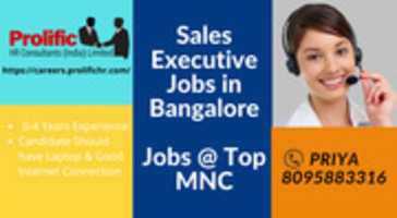 Free download https___careers.prolifichr.com_ free photo or picture to be edited with GIMP online image editor