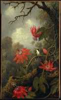 Free picture Hummingbird and Passionflowers to be edited by GIMP online free image editor by OffiDocs