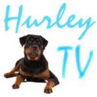 Free download Hurley TV NEW Logo 512x 512 free photo or picture to be edited with GIMP online image editor