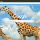 Huu Cao Co  screen for extension Chrome web store in OffiDocs Chromium