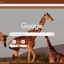Huu cao co  screen for extension Chrome web store in OffiDocs Chromium