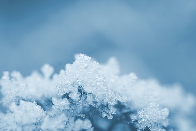 Free download ice crystals frost winter macro free picture to be edited with GIMP free online image editor
