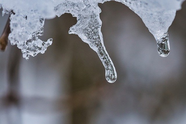 Free download icicle winter frost cold frozen free picture to be edited with GIMP free online image editor