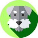 iCodePal  screen for extension Chrome web store in OffiDocs Chromium