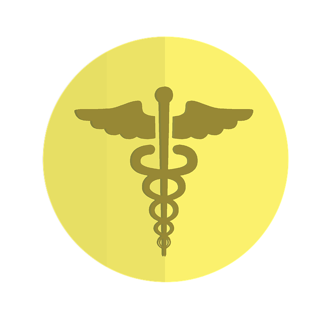 Free download Icon Healthcare Caduceus -  free illustration to be edited with GIMP free online image editor