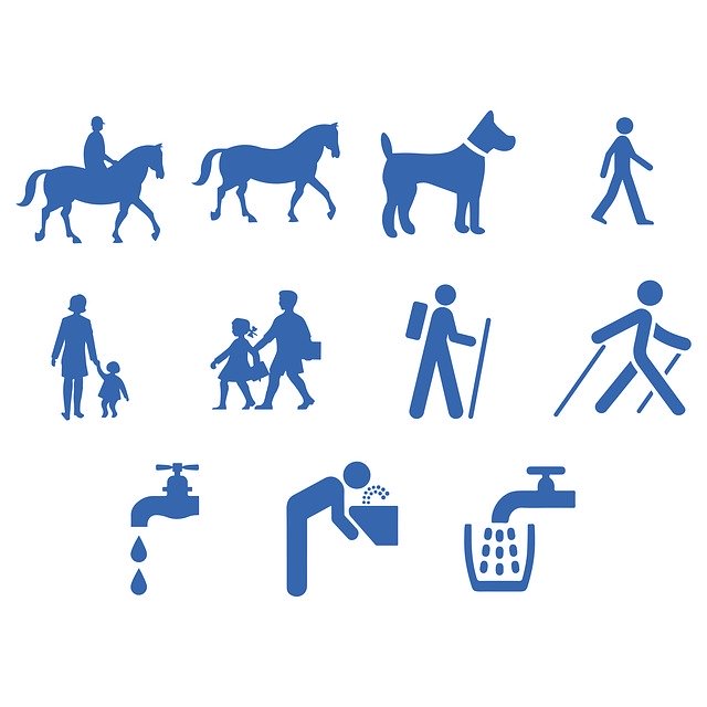 Téléchargement gratuit Icon Walking Running Horse - illustration gratuite à modifier avec l'éditeur d'images en ligne gratuit GIMP