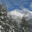 icy winter and trees  screen for extension Chrome web store in OffiDocs Chromium icy winter and trees  screen for extension Chrome web store in OffiDocs Chromium