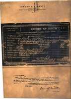 Free download Idas birth certificate, photocopy free photo or picture to be edited with GIMP online image editor