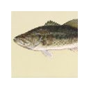 ID RATHER BE FISHING  screen for extension Chrome web store in OffiDocs Chromium
