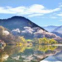 Idyllic Lakeside Setting with Spring Blossoms  screen for extension Chrome web store in OffiDocs Chromium