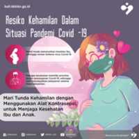 Free download IG TUNDA HAMIL 01 free photo or picture to be edited with GIMP online image editor