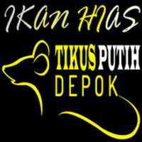 Free download IKAN HIAS LOGO free photo or picture to be edited with GIMP online image editor