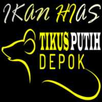 Free download IKAN HIAS LOGO free photo or picture to be edited with GIMP online image editor