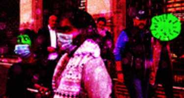 Free download il Body Amicizie Pericolose Salvini E Il Coronavirus free photo or picture to be edited with GIMP online image editor