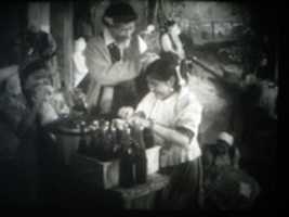 Free download ill15 La Rose blanche (Efim Aron, 1942) free photo or picture to be edited with GIMP online image editor