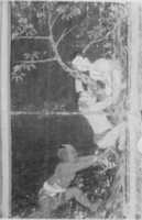 Free download Illustrated Manuscript of Episodes from The Life of Phra Malai, a Follower of Buddha free photo or picture to be edited with GIMP online image editor