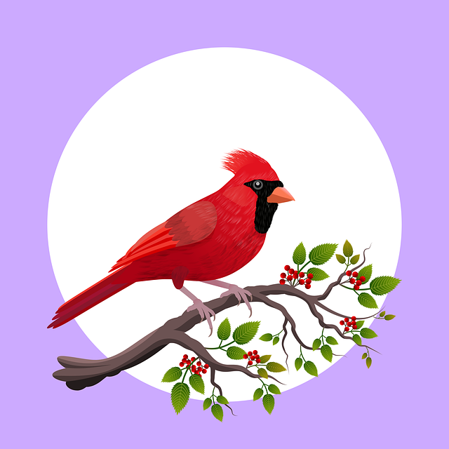 Free download Illustration Christmas Branch -  free illustration to be edited with GIMP free online image editor