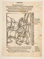 Free download Illustration from Sebastian Brandt: Navis Stultifera, Basle, Bergmann van Olpe, 1497 free photo or picture to be edited with GIMP online image editor