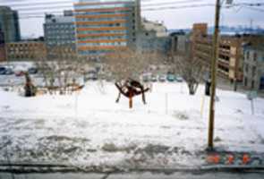 Free download Ilot Fleurie - 1996 - Hiver free photo or picture to be edited with GIMP online image editor