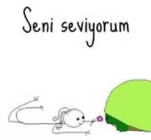 Free download I Love You in Turkish - Seni seviyorum free photo or picture to be edited with GIMP online image editor
