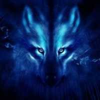 Free download imagen-wolf-night-cm-launcher-theme-0thumb free photo or picture to be edited with GIMP online image editor
