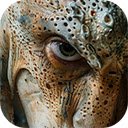 imagine octopus skin human face sea creature  screen for extension Chrome web store in OffiDocs Chromium