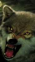 Free download imal-wolf free photo or picture to be edited with GIMP online image editor
