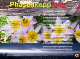 Free download IMG 0001 Phasenkopplung Bottrop ( 16.04.2021) free photo or picture to be edited with GIMP online image editor