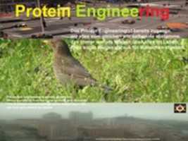 Free download IMG 0051 Protein Engineering BOTCANY free photo or picture to be edited with GIMP online image editor