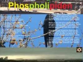 Free download IMG 0174 Phospholipiden , BOTCNAY free photo or picture to be edited with GIMP online image editor