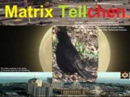 Free download IMG 0331 Matrix Teilchen , BOTCANY free photo or picture to be edited with GIMP online image editor