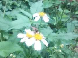 IMG_06082018_115459.jpg GIMP online editor free Free download IMG_06082018_115459.jpg free photo or picture to be edited with GIMP online image editor