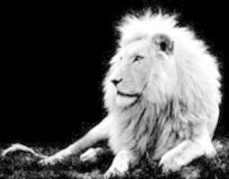 Free download img_1566696026636 free photo or picture to be edited with GIMP online image editor