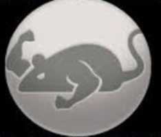 Free download img_1568417052825 free photo or picture to be edited with GIMP online image editor