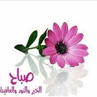 Free download IMG 20181011 WA 0000 free photo or picture to be edited with GIMP online image editor