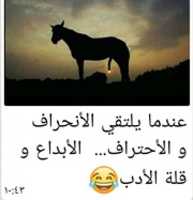 Free download IMG 20190921 WA 0005 free photo or picture to be edited with GIMP online image editor