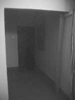 Free download IMG 20191120 064143 free photo or picture to be edited with GIMP online image editor