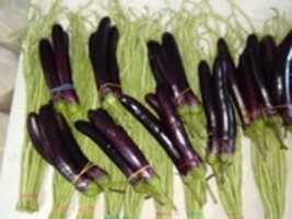 Free download IMG 20200406 091104 free photo or picture to be edited with GIMP online image editor