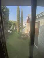 Free download IMG 6879 free photo or picture to be edited with GIMP online image editor